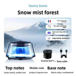 Scenic Fragrance Car Air Freshener