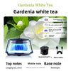 Scenic Fragrance Car Air Freshener