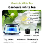 Scenic Fragrance Car Air Freshener