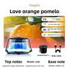 Scenic Fragrance Car Air Freshener