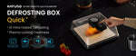 Electric Meat Defrosting Box