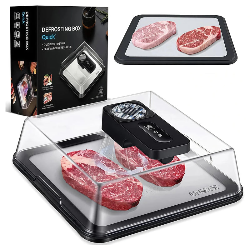 Electric Meat Defrosting Box