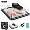 Electric Meat Defrosting Box