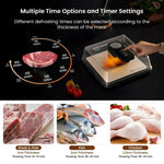 Electric Meat Defrosting Box