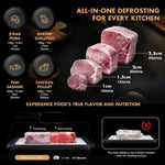 Electric Meat Defrosting Box