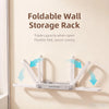 Wall Mounted Slipper Storage Rack