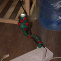 New Plug and Play Christmas Projector Lights Christmas Tree USB Powered LED Projection Lamp Christmas Tree Light Home Decor